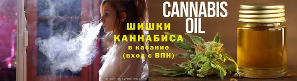 дмт Алзамай
