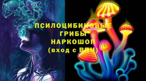 дмт Алзамай